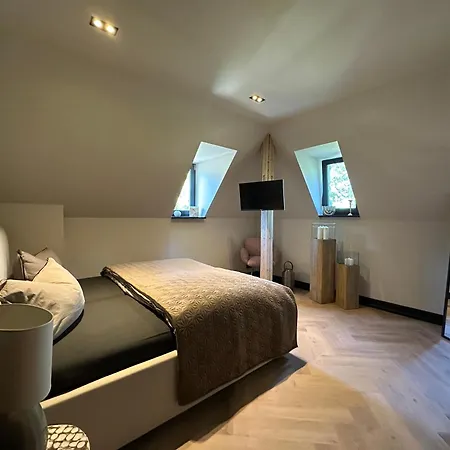 * Stadtvilla Plauen * * Aussergewoehnlich * 2 Zimmerwohnung * Zentrumsnah Eksteriør billede